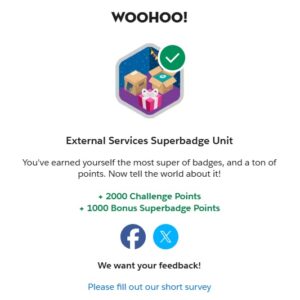 External Services Superbadge Unit