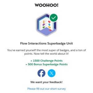 Flow Interactions Superbadge Unit